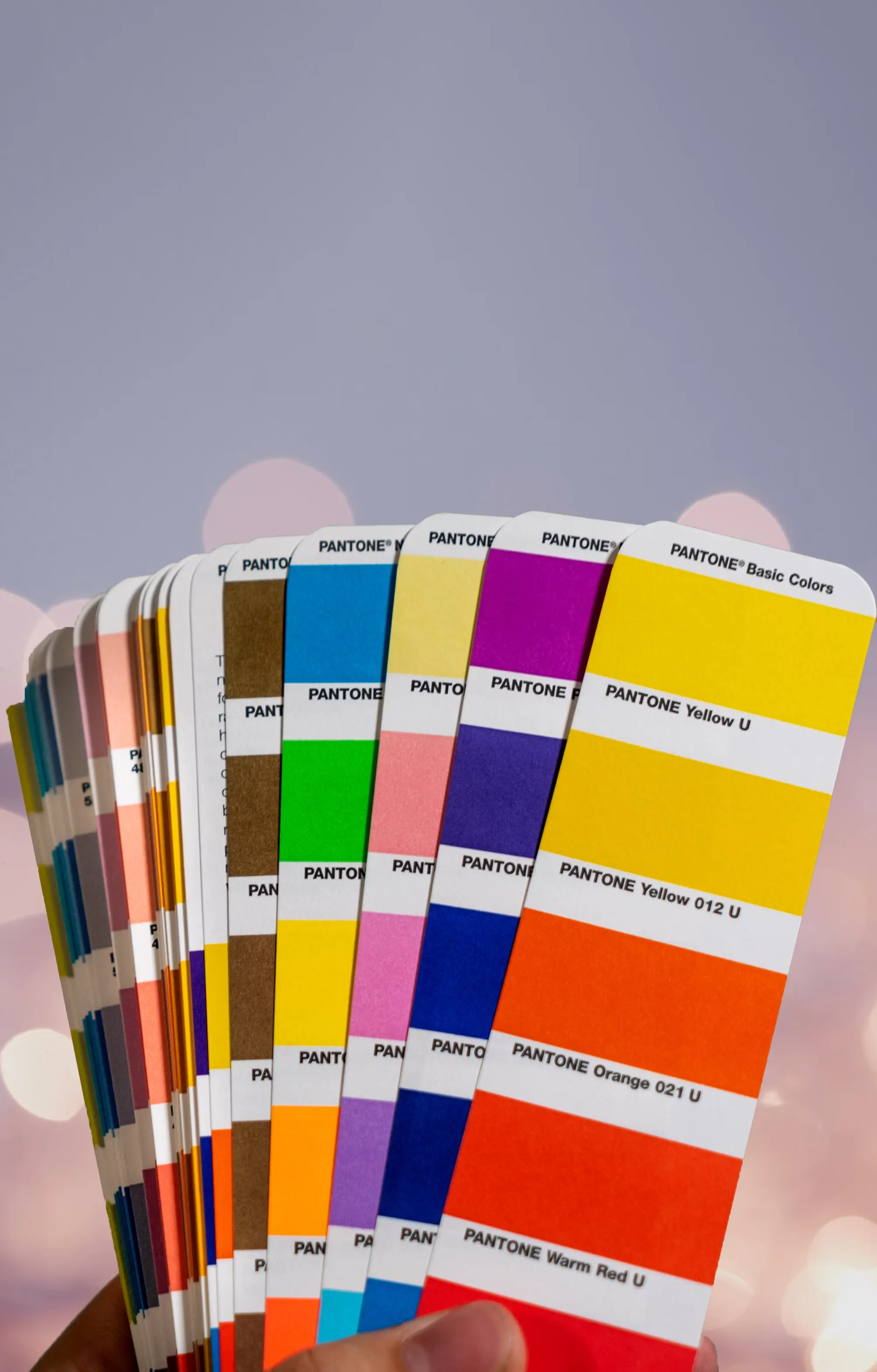 Muestrario Pantone de colores utilizado en artes gráficas de Cargraf